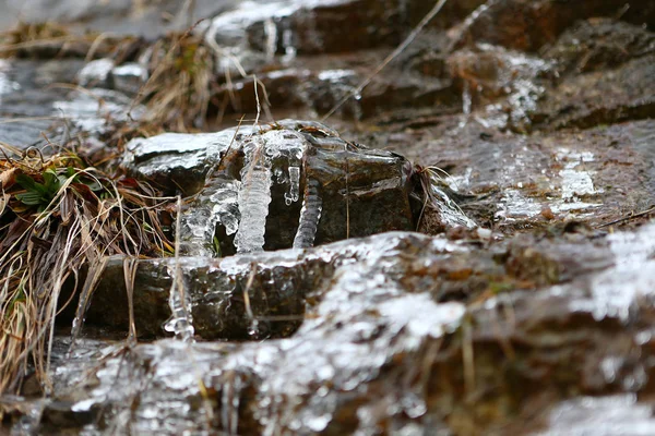 Das Auftauen Der Eiszapfen Mit Dem Fallenden Wassertropfen Den Bergen — Stockfoto