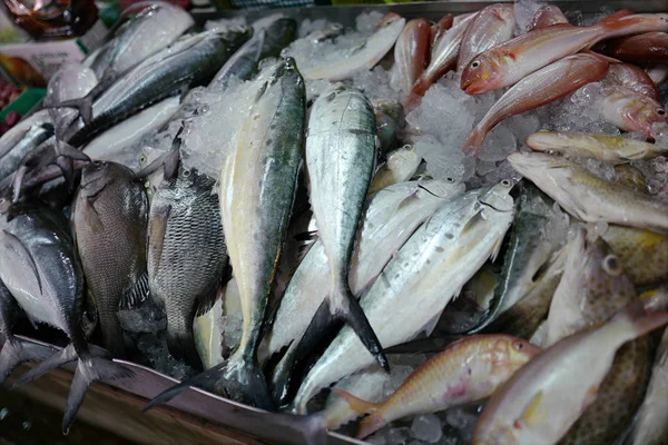 Pesce fresco crudo nel ghiaccio — Foto Stock