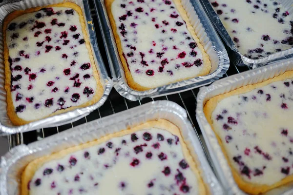 Tartas con grosella negra Fotos de stock libres de derechos