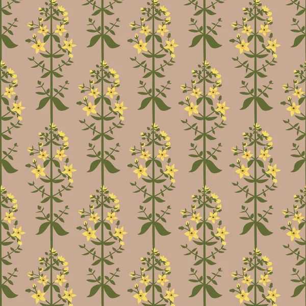 Saint John's wort fleurs motif sans couture sur fond rose — Image vectorielle