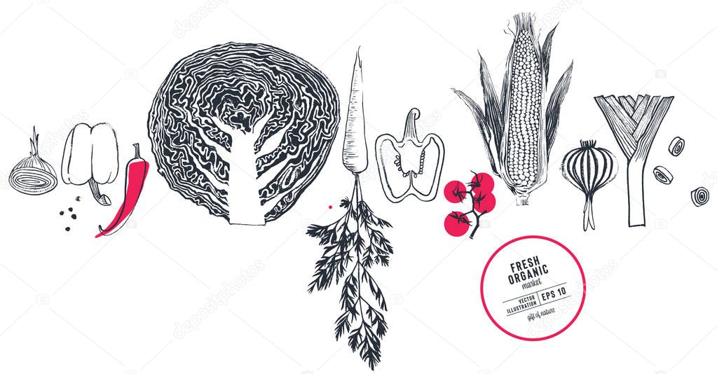 Fresh organic food vector illustration