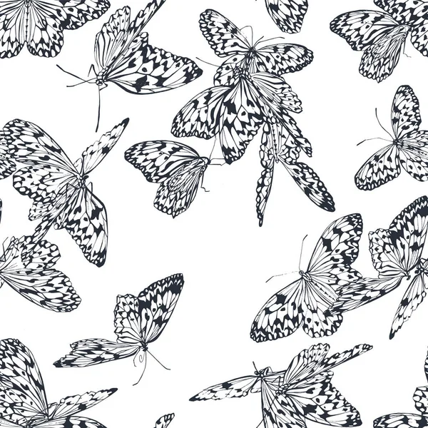 Modèle sans couture papillon — Image vectorielle