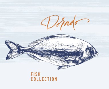 Logo için Dorado balık fırça illüstrasyon