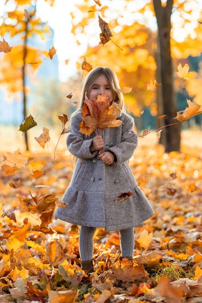 秋の公園で葉を持つ少女 — ストック写真