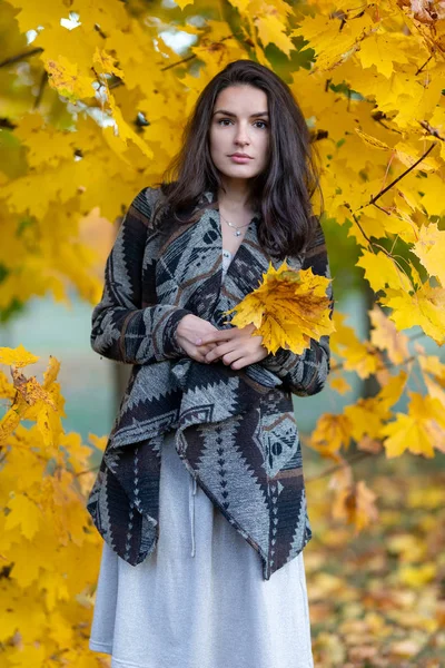 秋の公園の若い女性は ストック画像