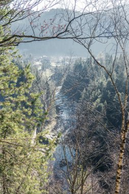 Bütün dağ manzaralı ağaçların arasından çerçeve