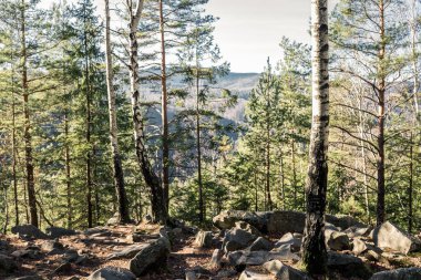 Bütün taşlar, orman yatay çerçeve