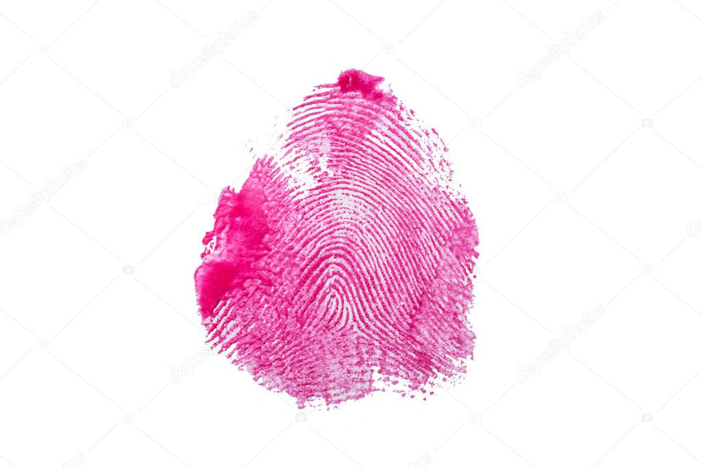 Fingerprint texture in pink paint on white isolated background. Horizontal frame