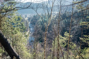 Bütün dağ manzaralı ağaçların arasından çerçeve