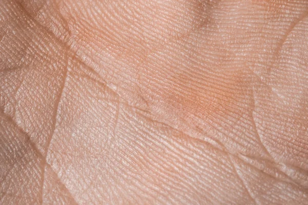 Close Macro Image Skin Surface Texture Human Hands Palms Horizontal — Stock Photo, Image