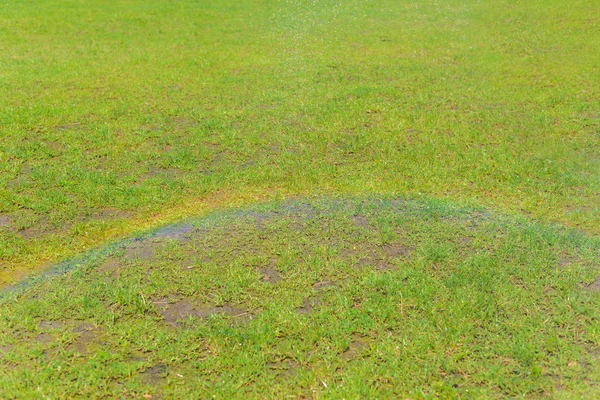 Pequeño Arco Iris Sobre Fondo Hierba Verde Marco Horizontal —  Fotos de Stock