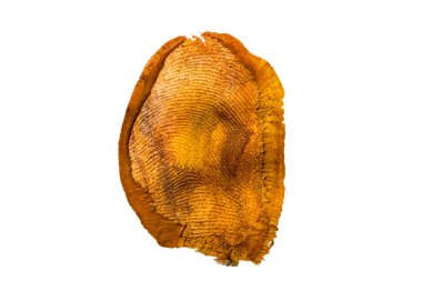 Parmak izi doku beyaz izole arka planda turuncu boya. Yatay Çerçeve