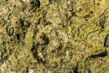 Her çerçeve için kayalık taş parçası