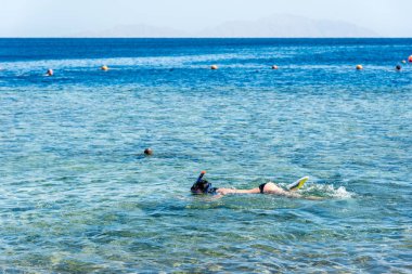 Seyahat ve eğlence, maskeli bir boru ile siyah saçlı bir kız şnorkel