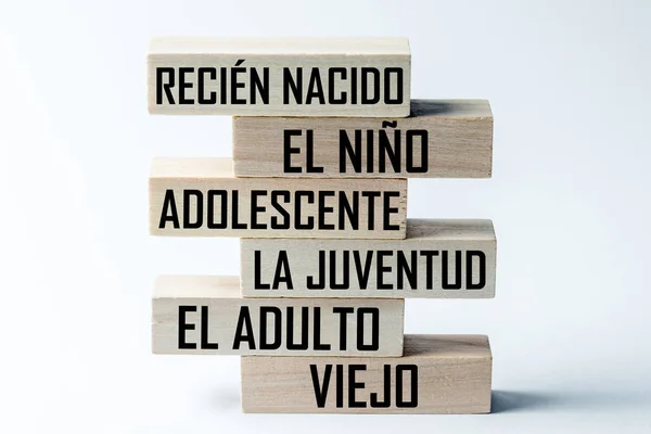 Una lista de bloques de madera colocados uno encima del otro con una lista de las etapas de crecimiento de una persona en español. Marco horizontal — Foto de Stock