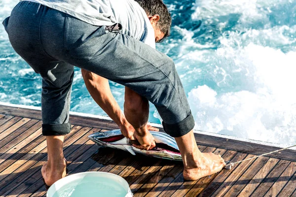 La pesca y la caza furtiva, el pescador corta y limpia el atún grande capturado. Marco horizontal — Foto de Stock