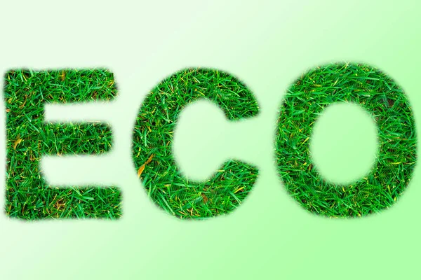 Textur auf dem Hintergrund, grünes kleines Gras mit einem weißen Kreis — Stockfoto