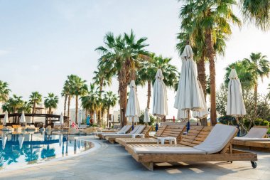 Sharm el-Sheikh, Mısır, 02/25/2019. Otelin eğlence için iç. Mavi su havuzu, palmiye ağaçları ve güneşlenme yatakları