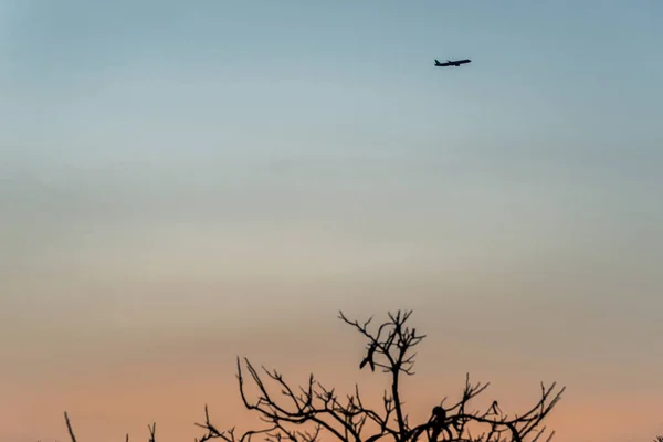 Pequeño avión sobre un fondo de cielo rojo atardecer. Marco horizontal — Foto de Stock