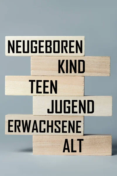 A list of wooden blocks lying on top of each other with a list of the stages of maturation of a person in German. Vertical frame — Stock Photo, Image