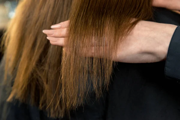 Schone Lange Braune Haare Madchen Nach Haarschnitt Glatt Kommerziell Stock Photo 257515796