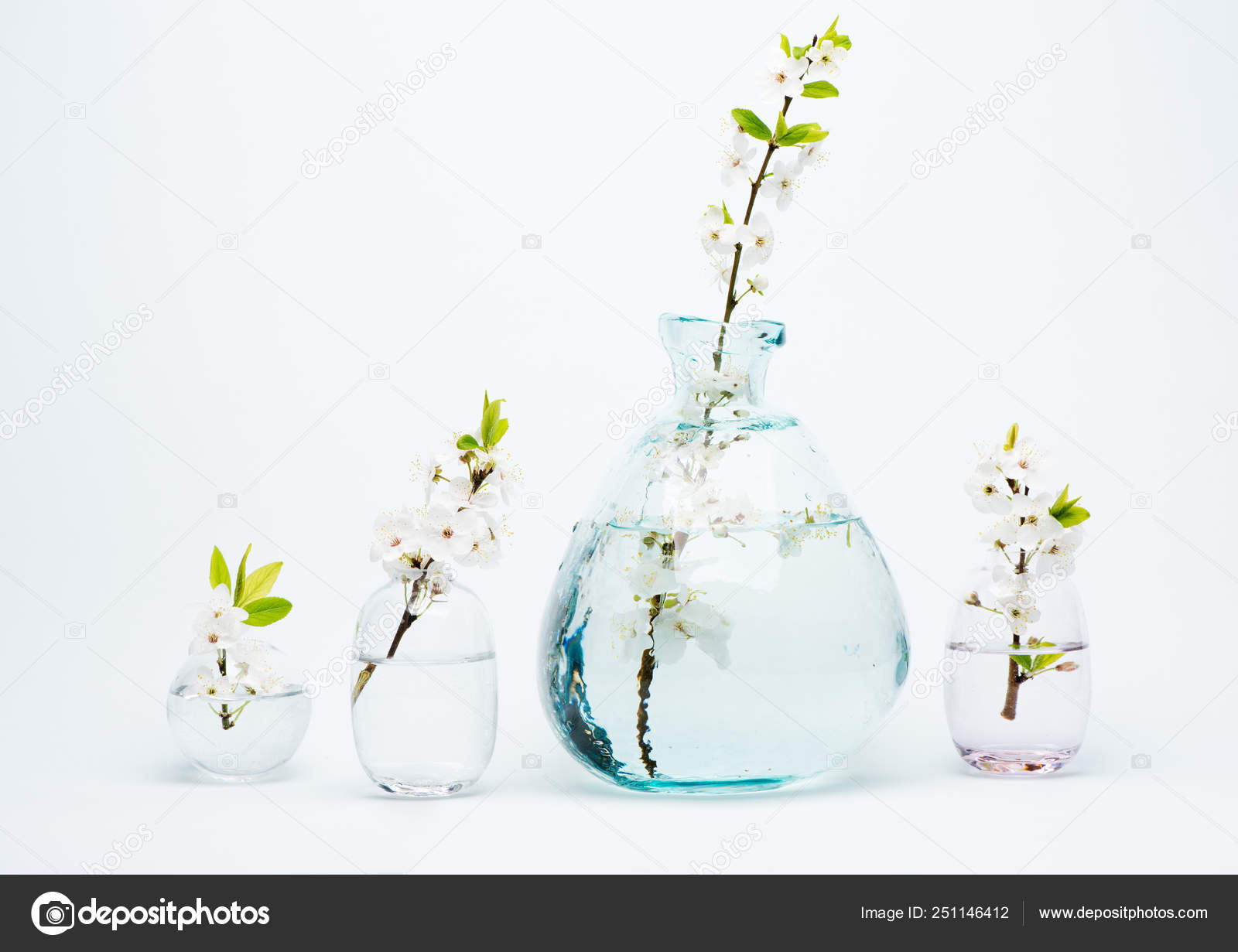 White Spring Blooming Flowers Vases Blue Background Stock Photo