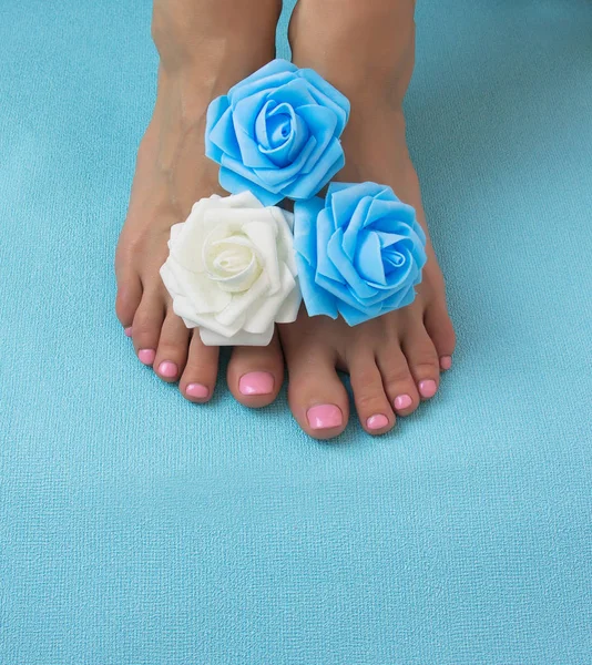 Υγιείς Και Κομψό Καλοπεριποιημένος Γυναικεία Πόδια Λουλούδια Μπλε Φόντο — Φωτογραφία Αρχείου