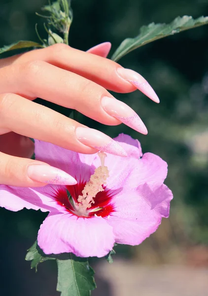 Lange Frans Nagels Met Witte Manicure Aan Kant Van Een — Stockfoto