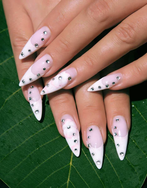 长的法国指甲与白色修指甲在妇女的手与粉红色的配件在自然背景 — 图库照片