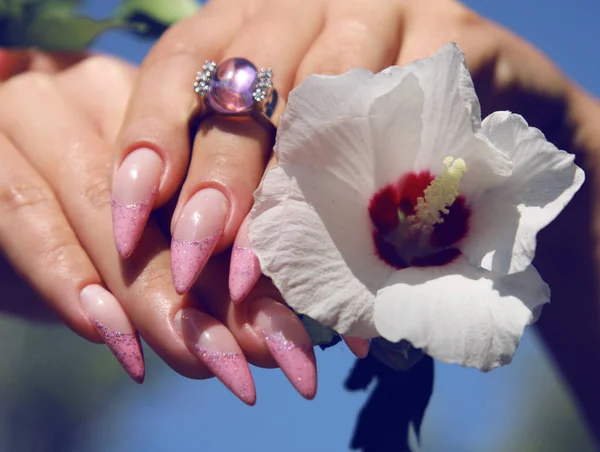 长的法国指甲与白色修指甲在妇女的手与粉红色的配件在自然背景 — 图库照片