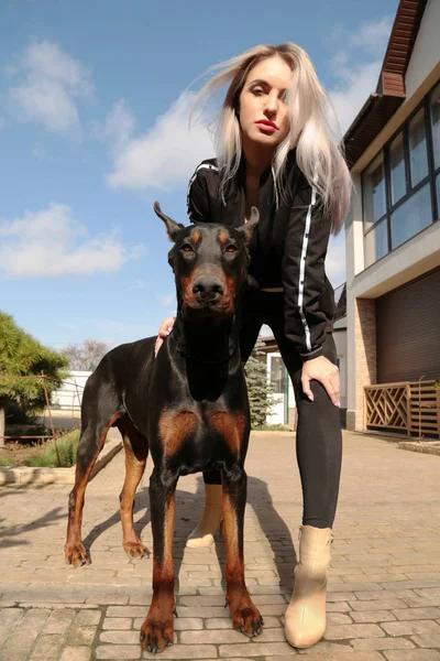 Mooie jonge vrouw met haar hond - Dobermann Rechtenvrije Stockfoto's