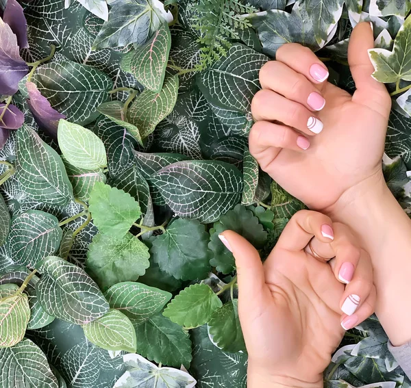 Professional French manicure. — Stock Photo, Image