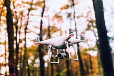 Fotoğraf kamera renkli karşı aşağıdan sonbahar ormandaki ile beyaz dronun yapraklar