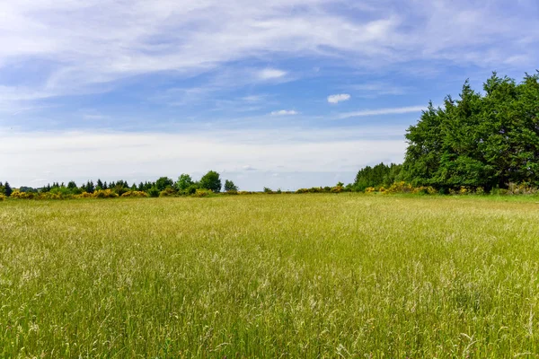 Pěší Turistika Přes Divoké Louce Krajinné Oblasti Německu Eifel Modrou — Stock fotografie