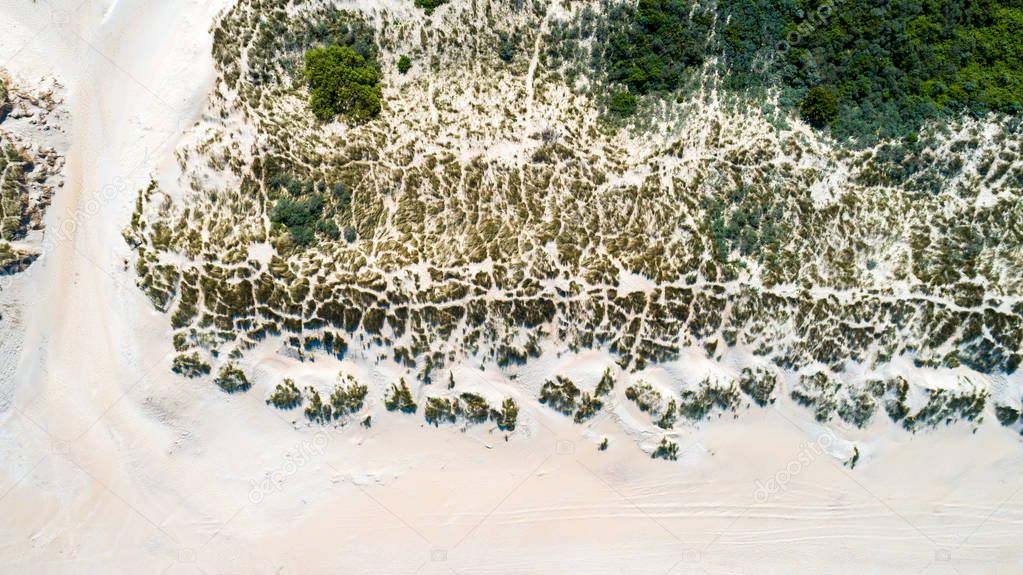 Dunes with green grass at beach in the Netherlands at the Northern Sea taken from above with a drone