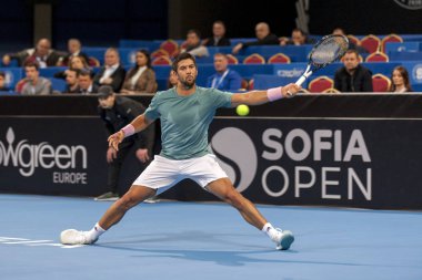 Sofya - Şubat 08.2019: Fernando Verdasco (Spa) katılmak, Sofia, Bulgaristan için Atp Sofia açık Turnuvası üzerinde Şubat 03-10, 2019 - IMAG