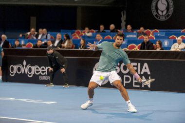 Sofya - Şubat 08.2019: Fernando Verdasco (Spa) katılmak, Sofia, Bulgaristan için Atp Sofia açık Turnuvası üzerinde Şubat 03-10, 2019 - görüntü