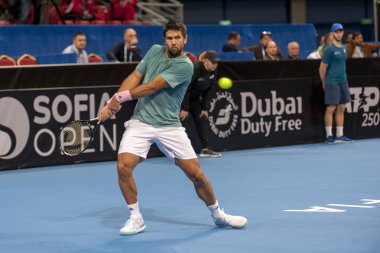 Sofya - Şubat 08.2019: Fernando Verdasco (Spa) katılmak, Sofia, Bulgaristan için Atp Sofia açık Turnuvası üzerinde Şubat 03-10, 2019 - görüntü