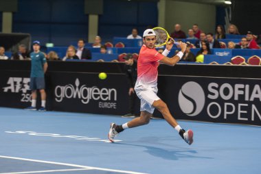 Sofya - Şubat 09.2019: Matteo Berrettini (Ita) katılmak, Sofia, Bulgaristan için Atp Sofia açık Turnuvası üzerinde Şubat 03-10, 2019 - görüntü