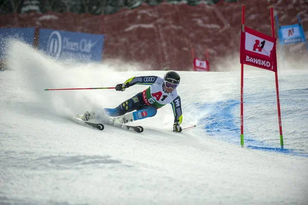 保加利亚班斯科 2月24日 奥尔松 Swe 于2019年2月24日在保加利亚班斯科参加奥迪 Fis Alpine 世界杯男子巨人 Slalom 的比赛 — 图库照片