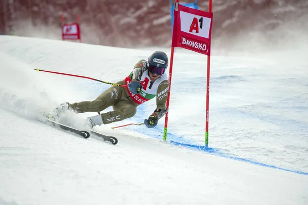 Ted Ligety — Photo