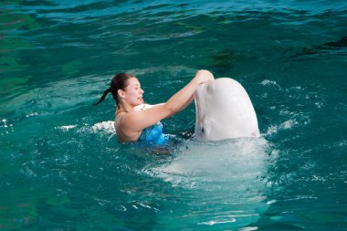 Lazarevskoye, Rusya Federasyonu-Ağustos 04: Eğitmenler kişinin ölümüne yol açtı, Rusya Federasyonu-Ağustos 04 yunuslar ile bir konuşma 2017.