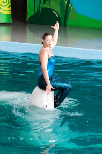 Lazarevskoye Russland August Vortrag Von Trainern Mit Delphinen Delphinarium Russland — Stockfoto