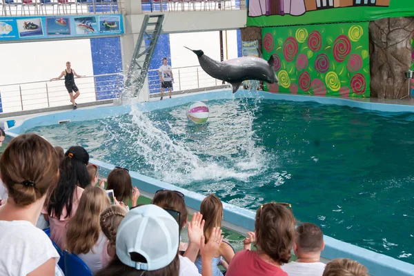 Lazarevskoye Russland August Vortrag Von Trainern Mit Delphinen Delphinarium Russland — Stockfoto
