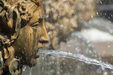 St. Petersburg, Rusya Federasyonu-Jule 29, 2018. Çeşme aslanlar cascade, Peterhof.