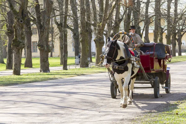 The carriage harnessed by horses goes on the park. — Stock Photo, Image