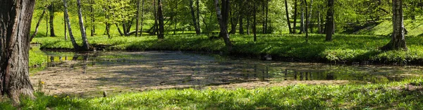 Панорама ставка в літньому саду — стокове фото