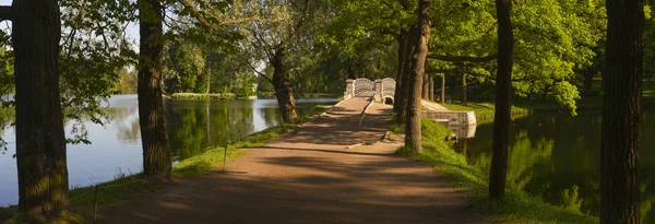 Beautiful panorama of the nature of the Gatchina park — Stock Photo, Image