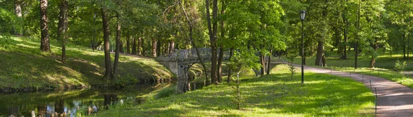 Gyönyörű panoráma a Gatchina Park természetéről Stock Kép
