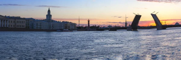 The raised Palace bridge at white nights — Stock Photo, Image